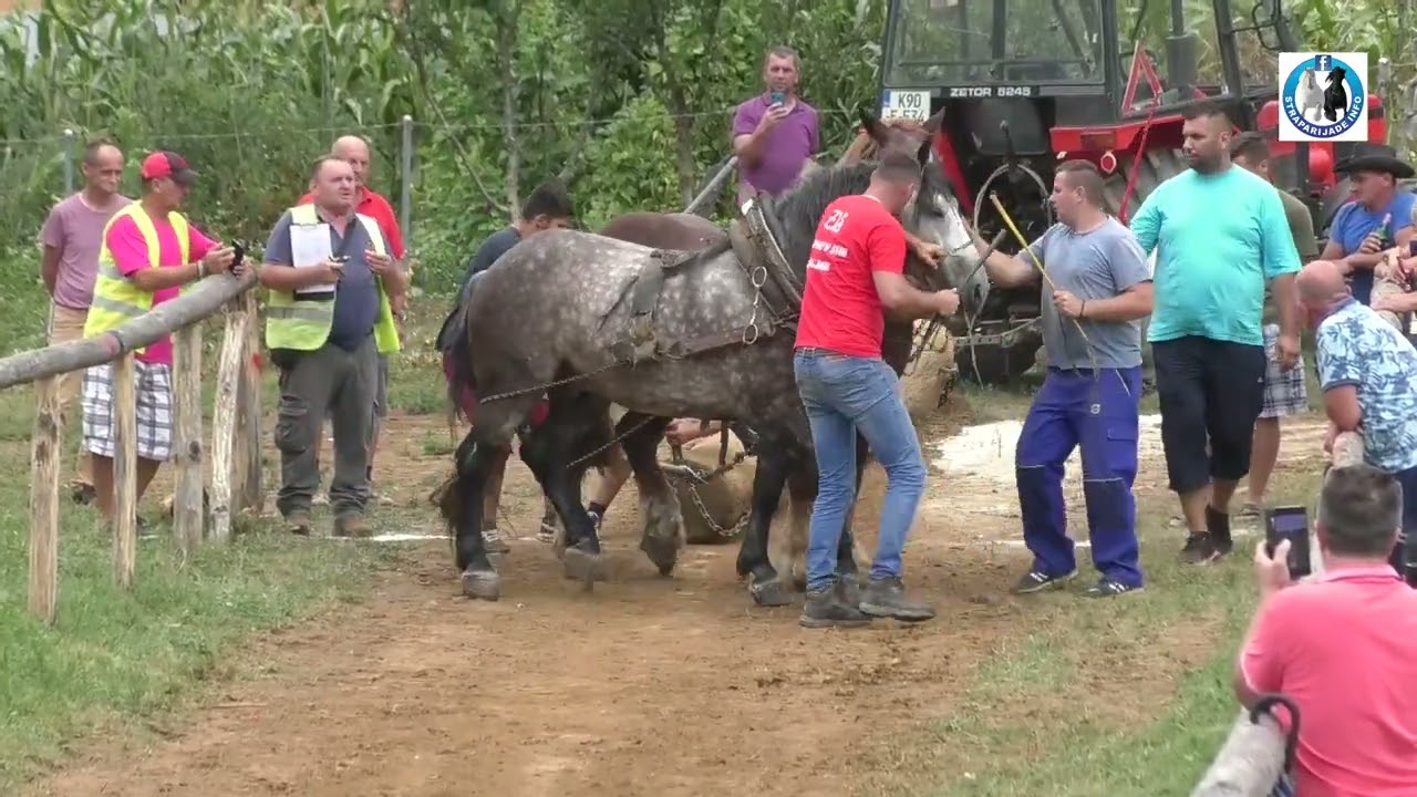 Samir ALIČIĆ (Bećar i Jadran ) u BREKOVICI kod JUKIĆA