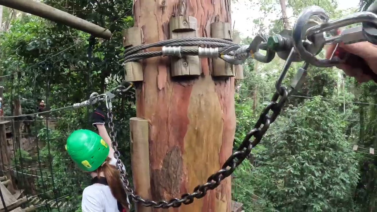 Tree Tops
