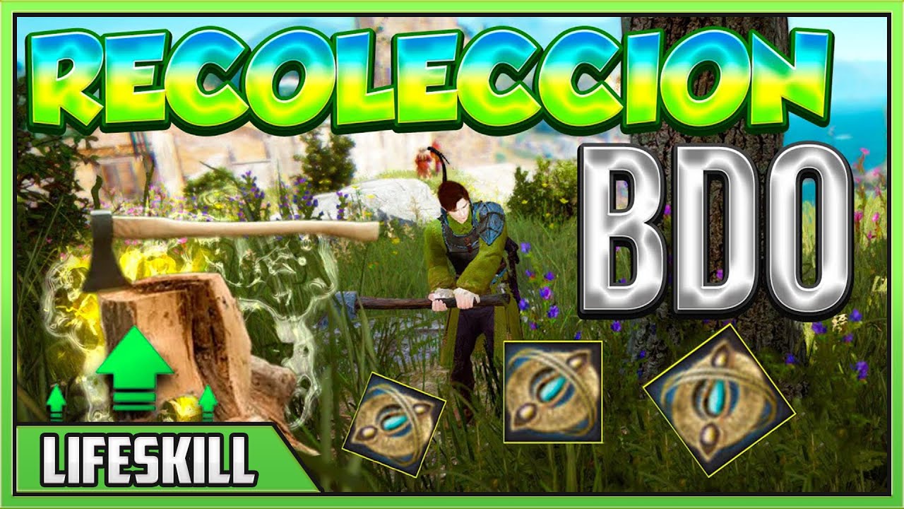 POWER LVL RECOLECCION BLACK DESERT (COMO SUBIRLA) - ARTEFACTOS - BUFF -EQUIPO