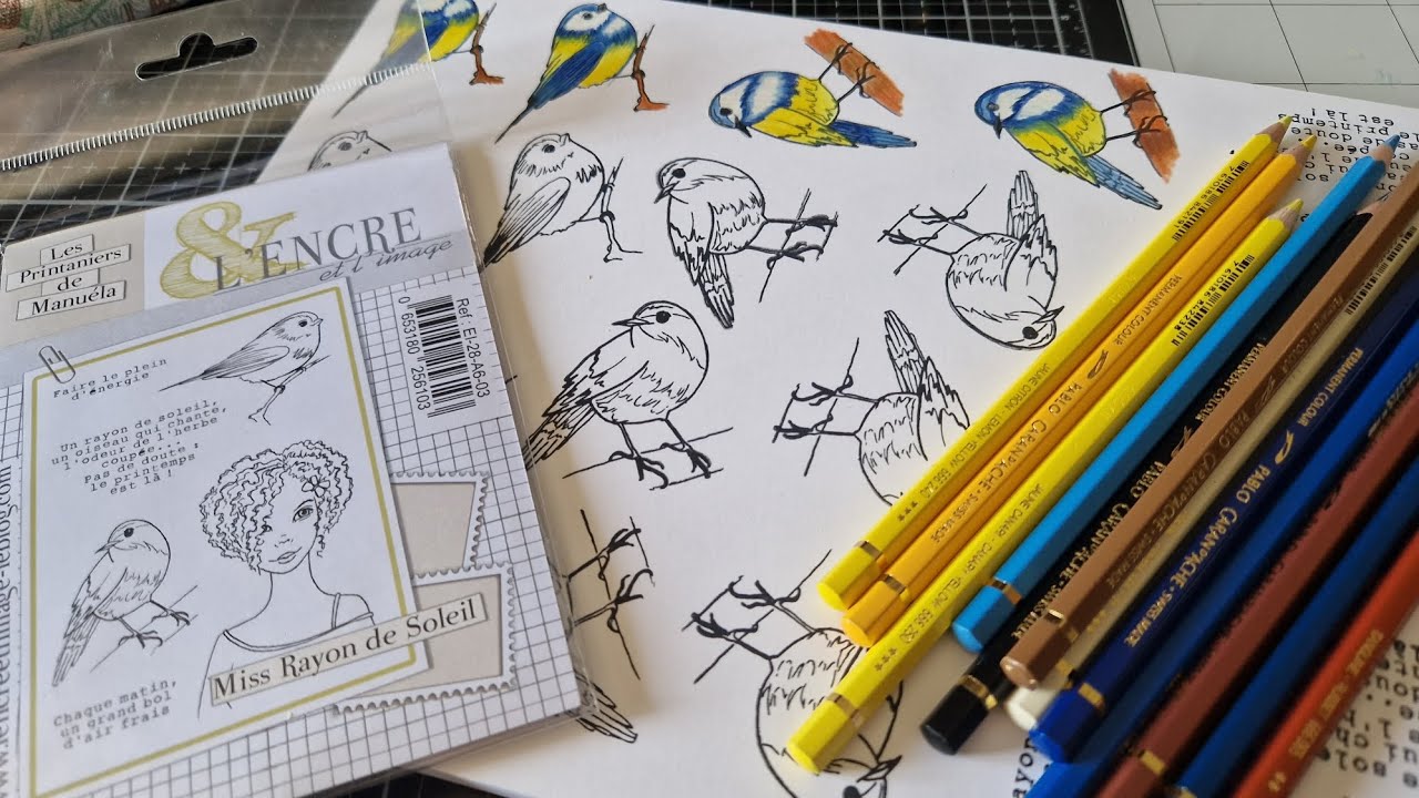 TEST PAPIER: PAINT ON LISSE AVEC MES PABLO #carandache