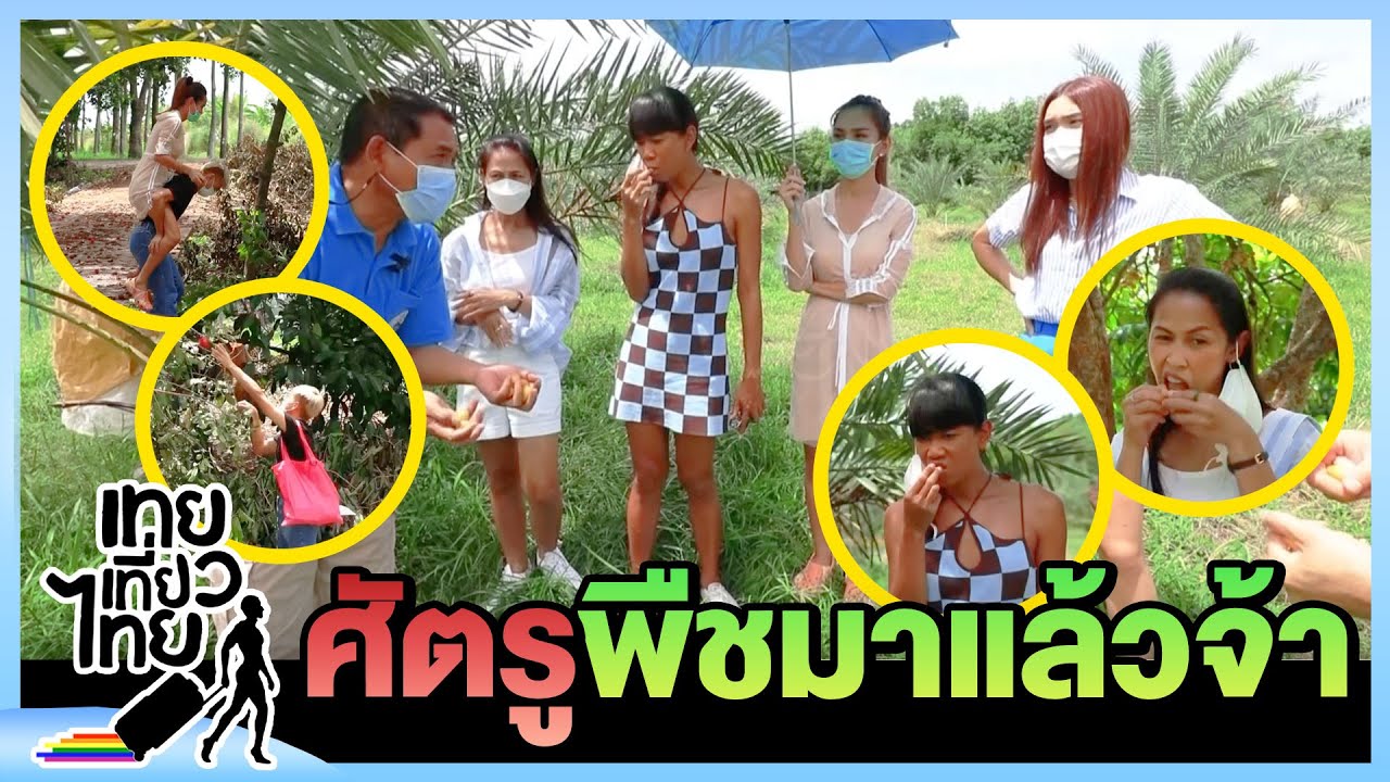 เพราะพวกเราคือศัตรูพืช! | เทยเที่ยวไทย