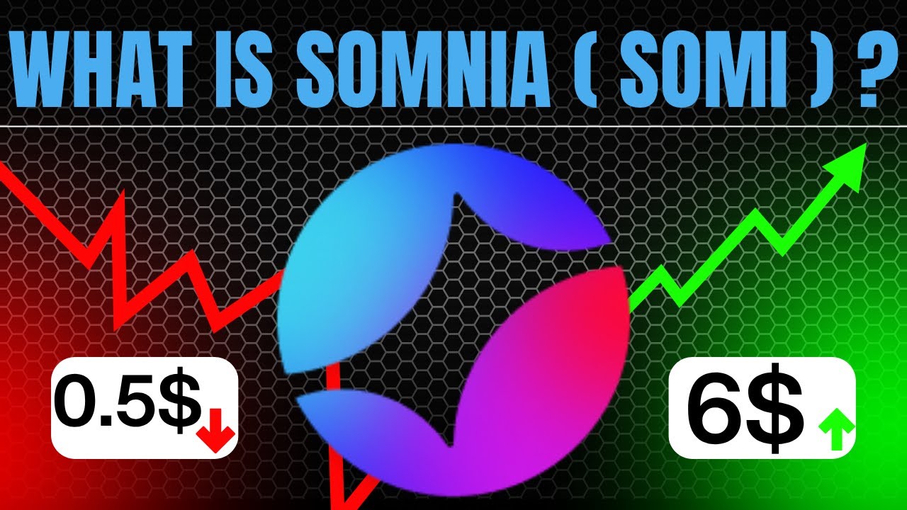 What is Somnia ( SOMI ) Coin ? The Blockchain Aiming for 1M TPS and the Future of Web3