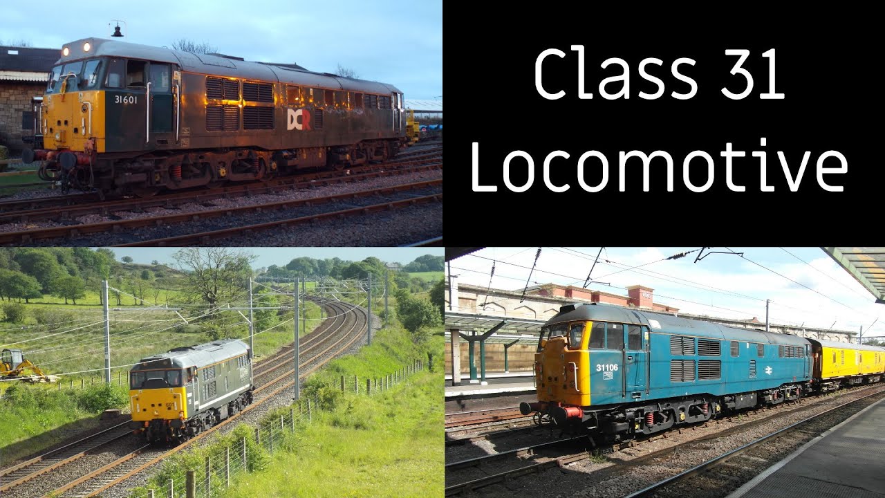 Class 31 Diesel Locomotive 'Thrash'