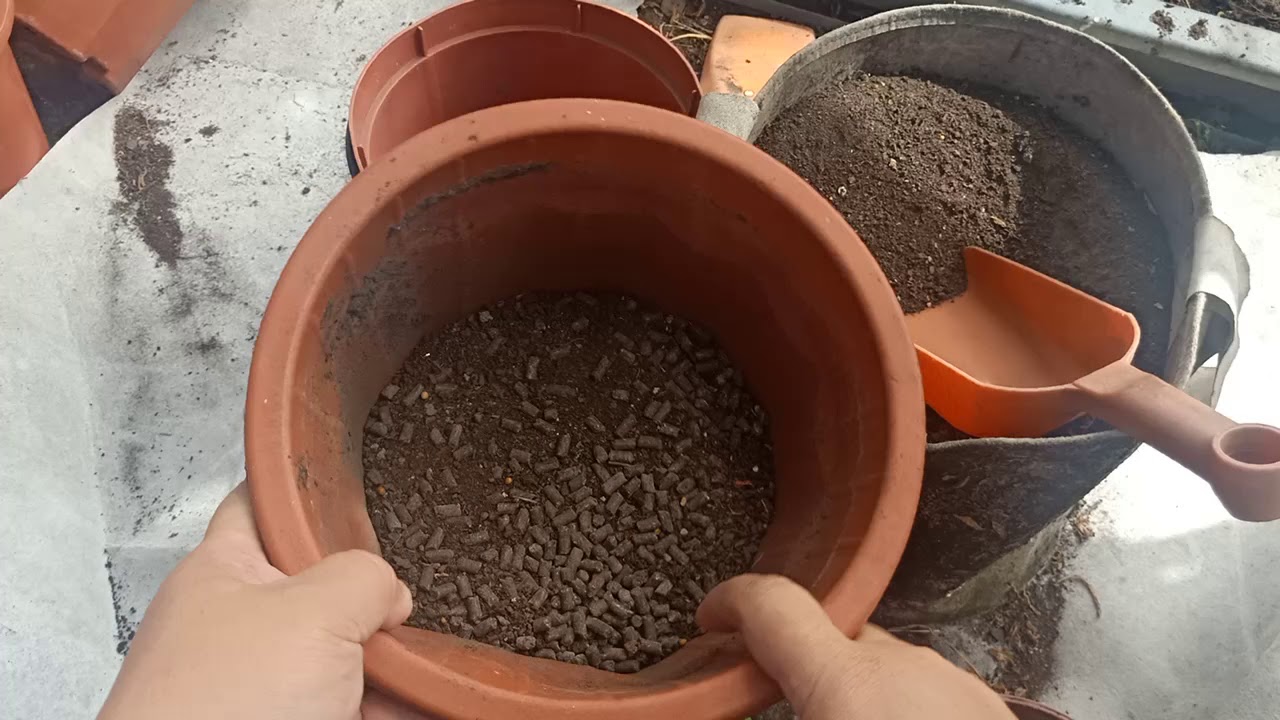 2020/10/18 草莓定植方式分享