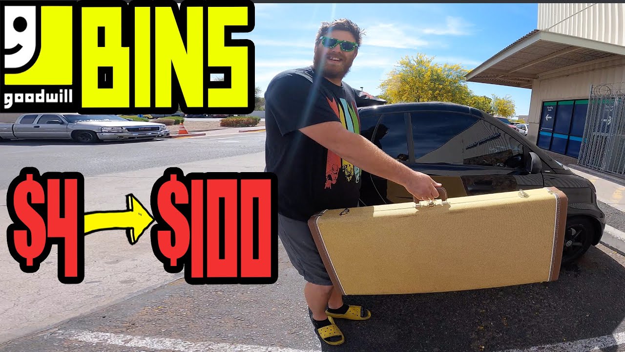 $4 Goodwill Bins find, Traded INSTANTLY For $100
