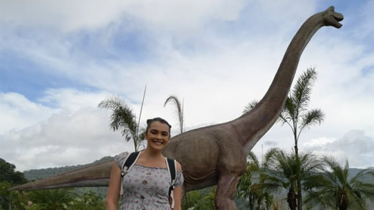 ¡DinoLand y Mirador Las Alas en Bajos del Toro!