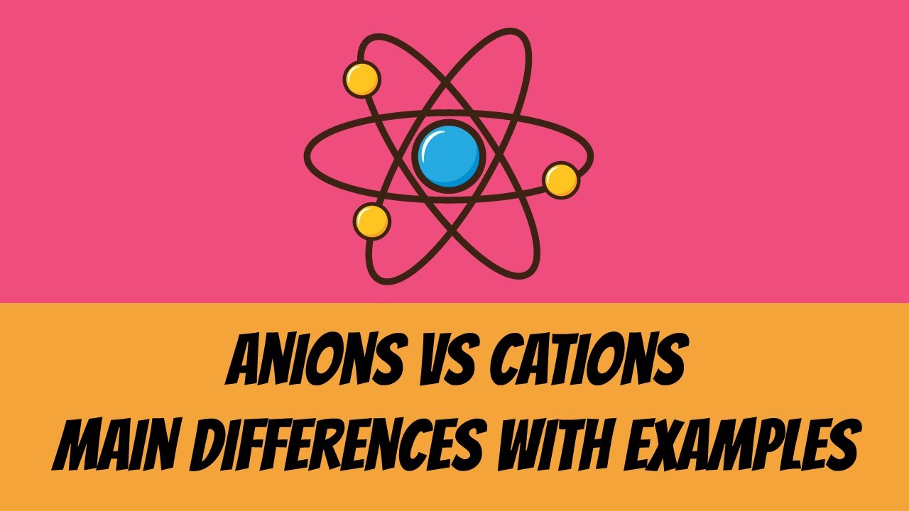Main Differences Between Anion and Cation