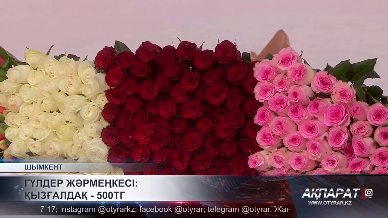 Гүлдер жәрмеңкесі: қызғалдақ - 500 тг