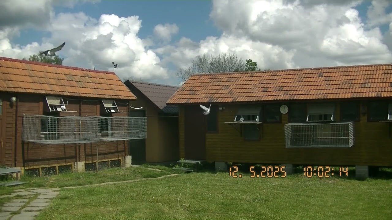 Lot nr 3/25 Złoczew (230 km.)