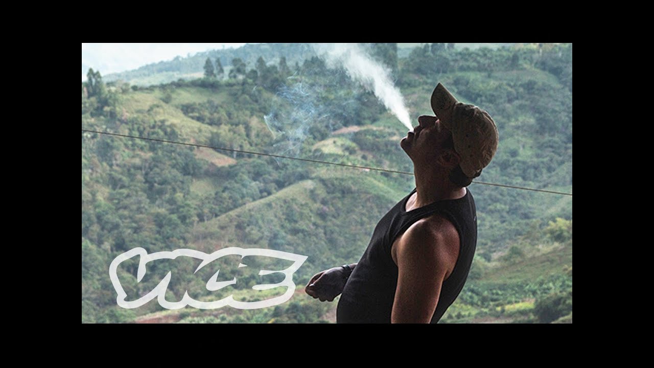 Kings of Cannabis | WEEDIQUETTE