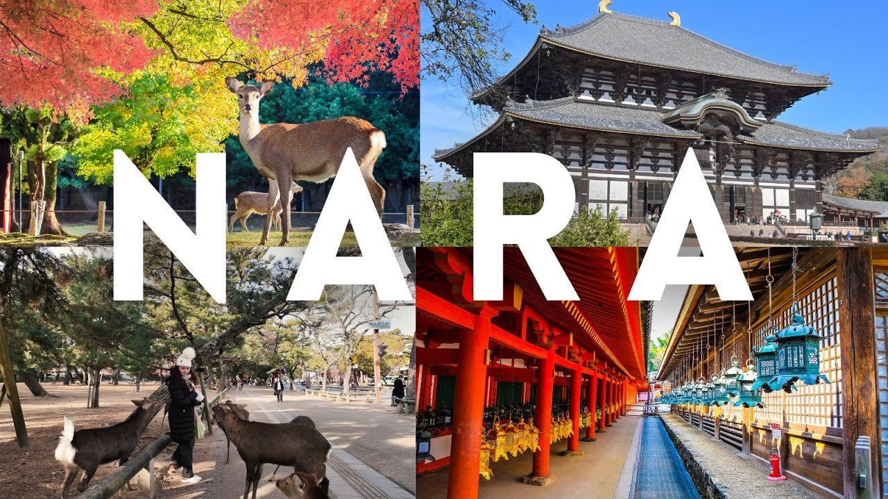 A Day Trip to NARA Japan - Nara Deer Park, Todai-Ji Temple, Bowing Deer & Ancient Temples | 4K