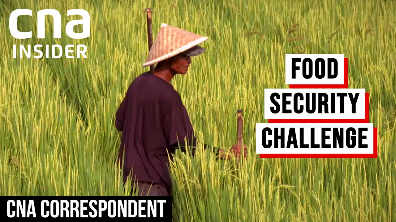 Indonesia Struggles To Reach Food Self-Sufficiency | CNA Correspondent
