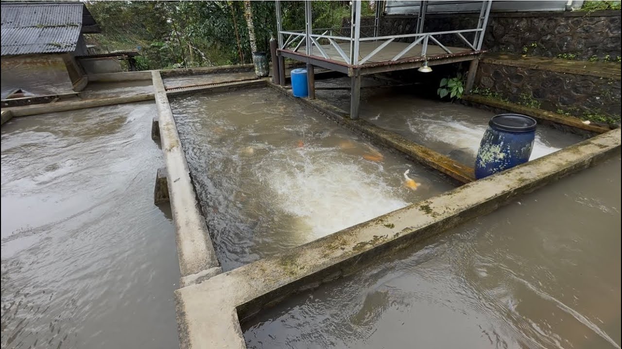 REVIEW KOLAM AIR DERAS DIMUSIM HUJAN
