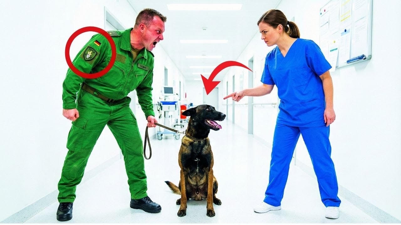 Niemand wagte es, dem Bombenhund-Experten zu widersprechen — Bis eine Krankenschwester es tat