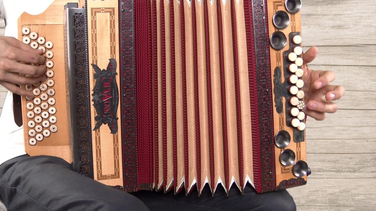 Ziachfuchs  ,,Böhmische Polka 1''