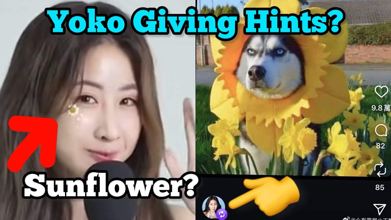 Yoko With Sunflower (FayeYoko Indirects) 😳