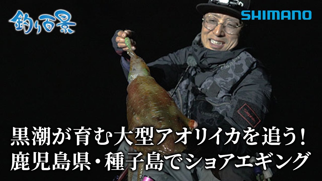 【釣り百景】#620 黒潮が育む大型アオリイカを追う！鹿児島県・種子島でショアエギング