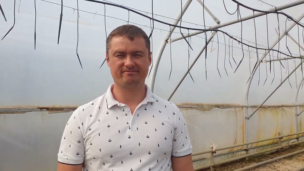 Рекомендации по улучшению зимовки Павловнии.