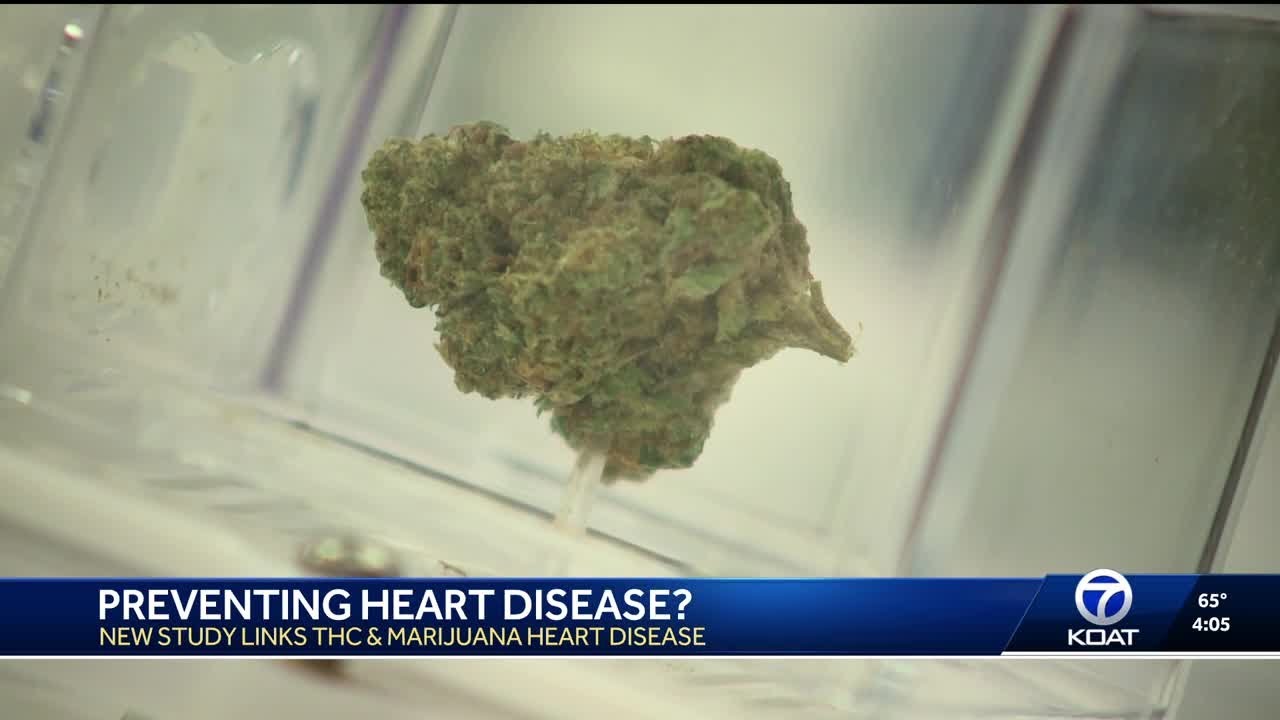Study links THC and marijuana use to heart disease