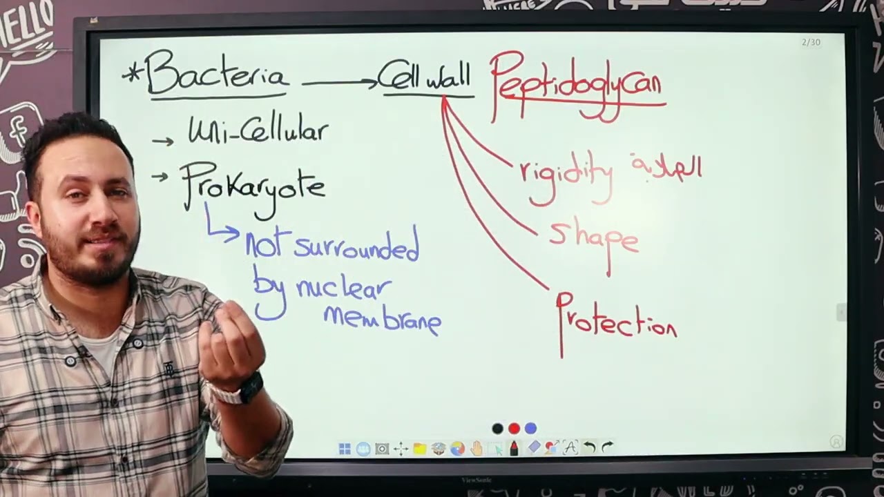 November’s revision Integrated Sciences