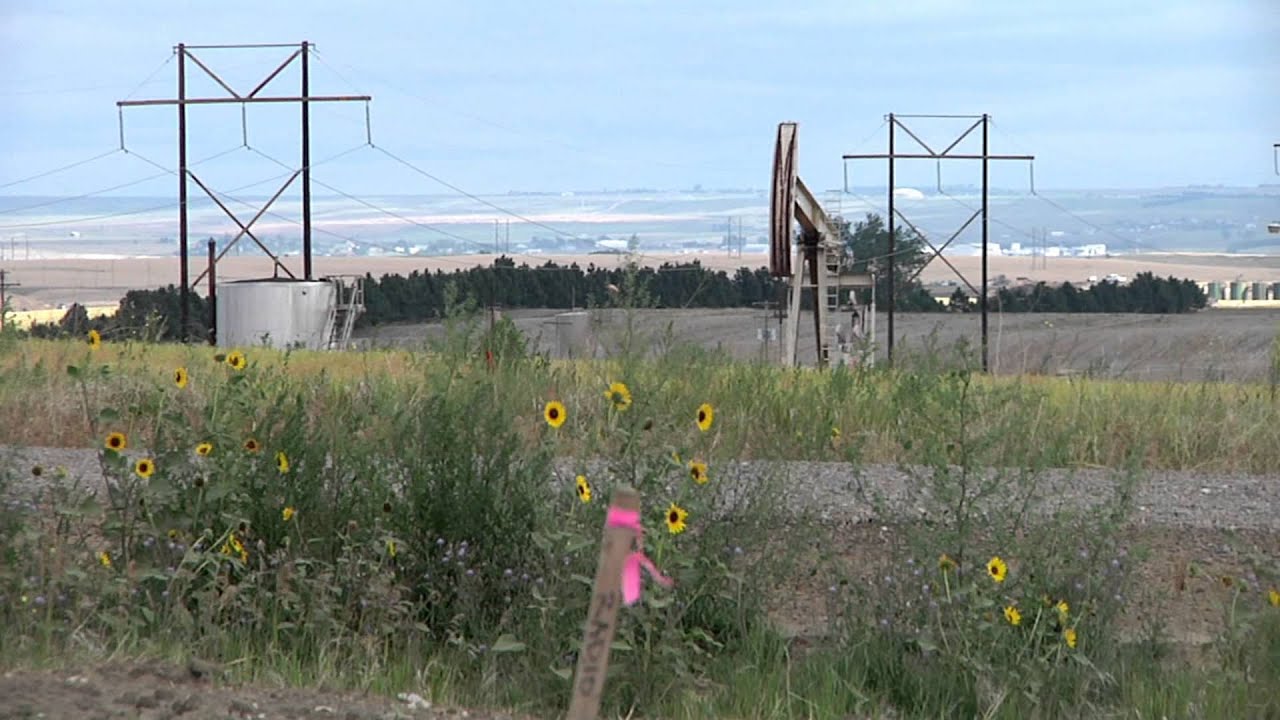 AR&D Landfill (Advanced Reclamation and Disposal, LLC)