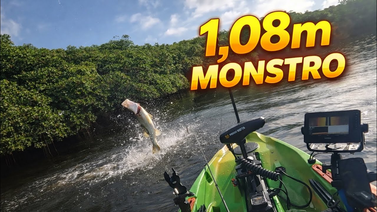 1,08m DE PURO CAOS! O monstro do cardume boiado 🔥🎣 Part.2
