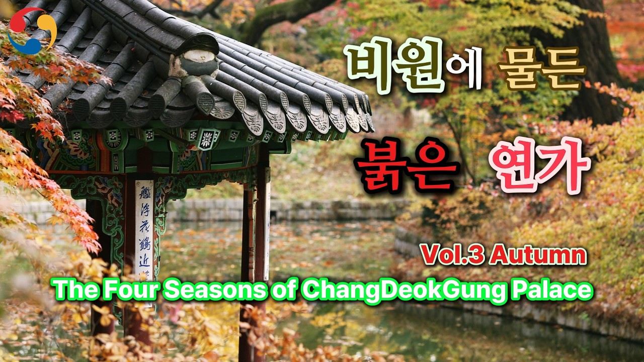[100BPM ASMR] Autumn Leaves & Deep Relaxation - Changdeokgung Palace