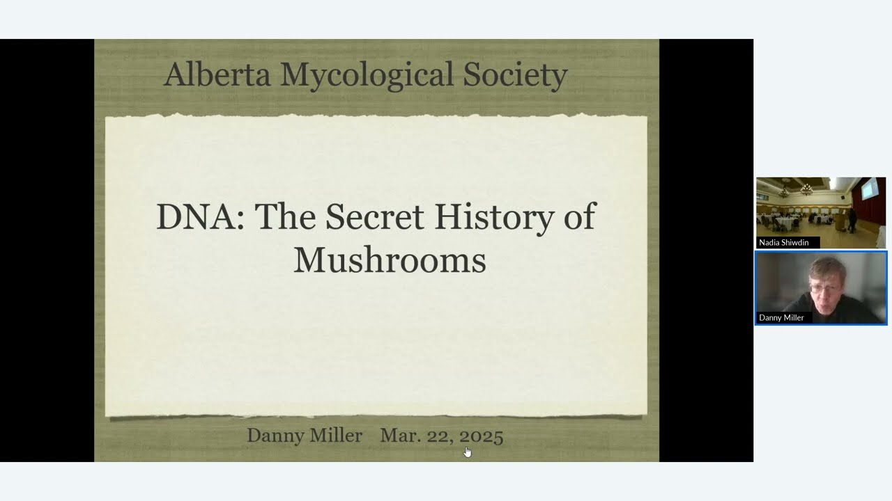 DNA: The Secret History of Mushrooms | Danny Miller at 2025 AGM