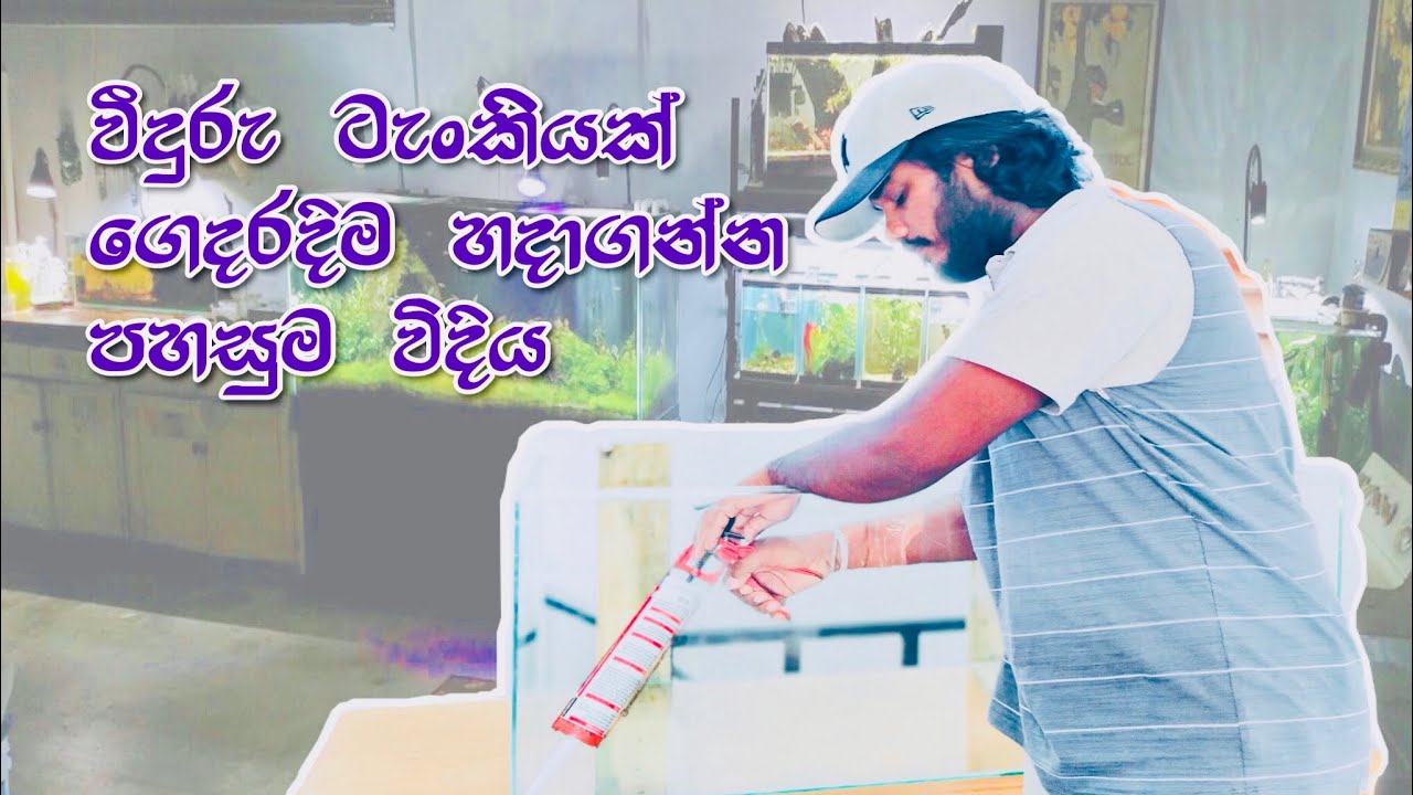 Glass Fish Tank/ වීදුරු ටැංකියක් ගෙදරදිම හදගන්න පහසු විදිය
