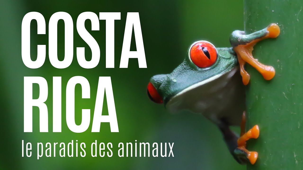 2 semaines au Costa Rica 🇨🇷 | Itinéraire, budget, coup de ♥️