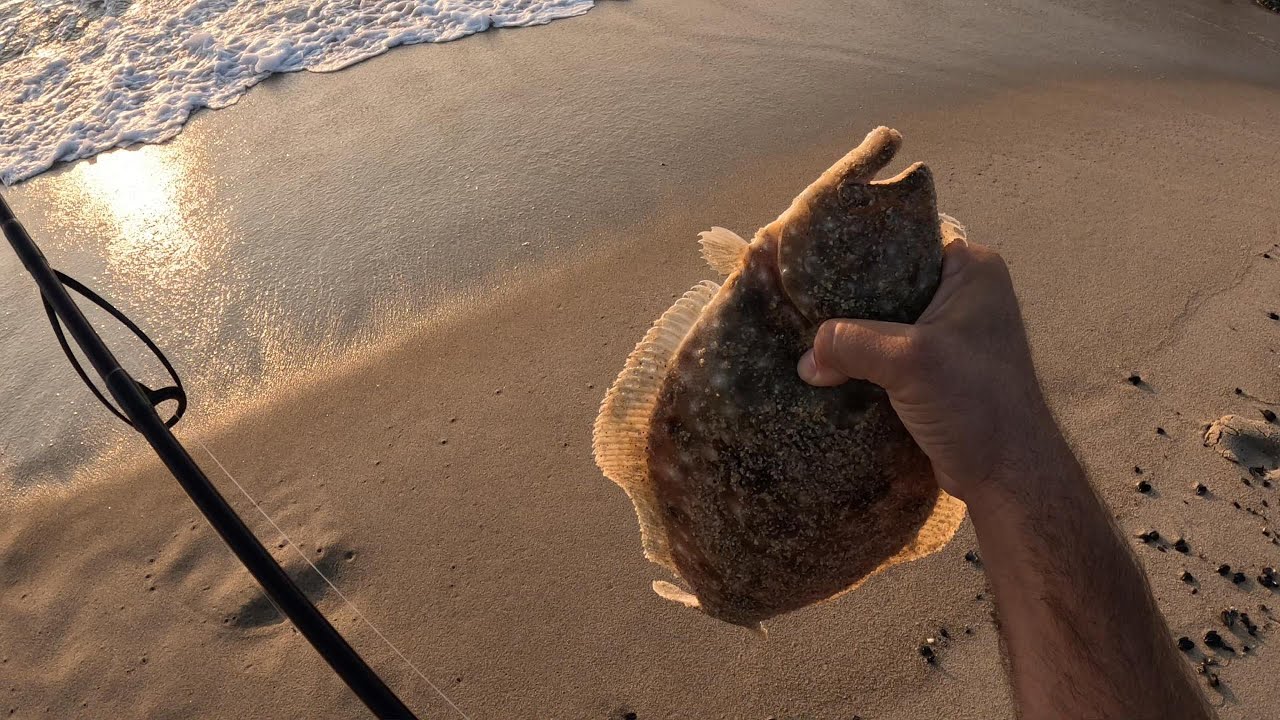 Keeper fluke with a first time using a jerkbait! #fishing #fluke #surffishing #jerseyshore