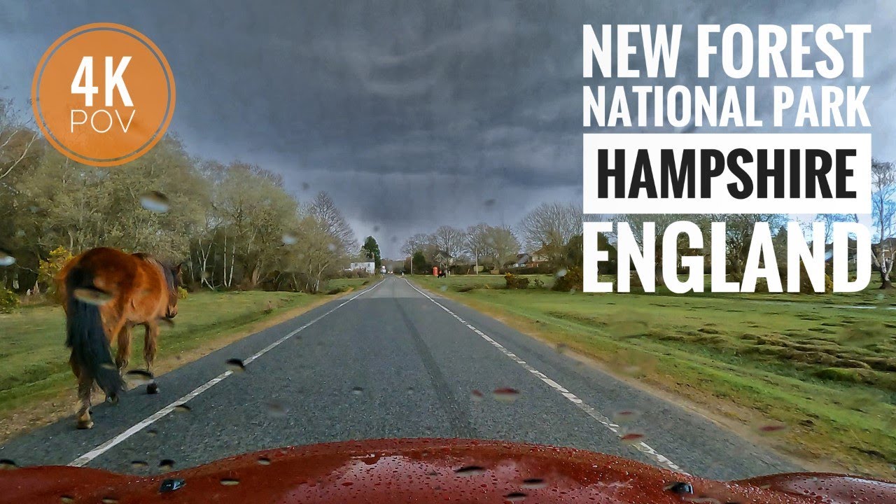 Rainy Drive Through The New Forest National Park: POV in 4K 60fps