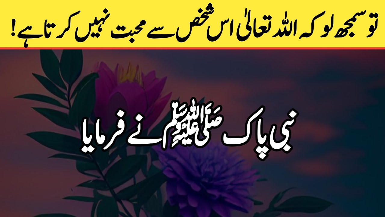 So understand that Allah does not love this person! | Hadith e nabviﷺ | the real islam 