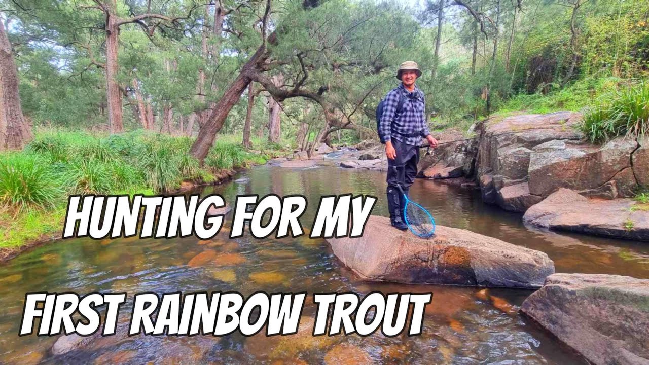 GLENROY COTTAGE CAMPGROUND || COXS RIVER TROUT
