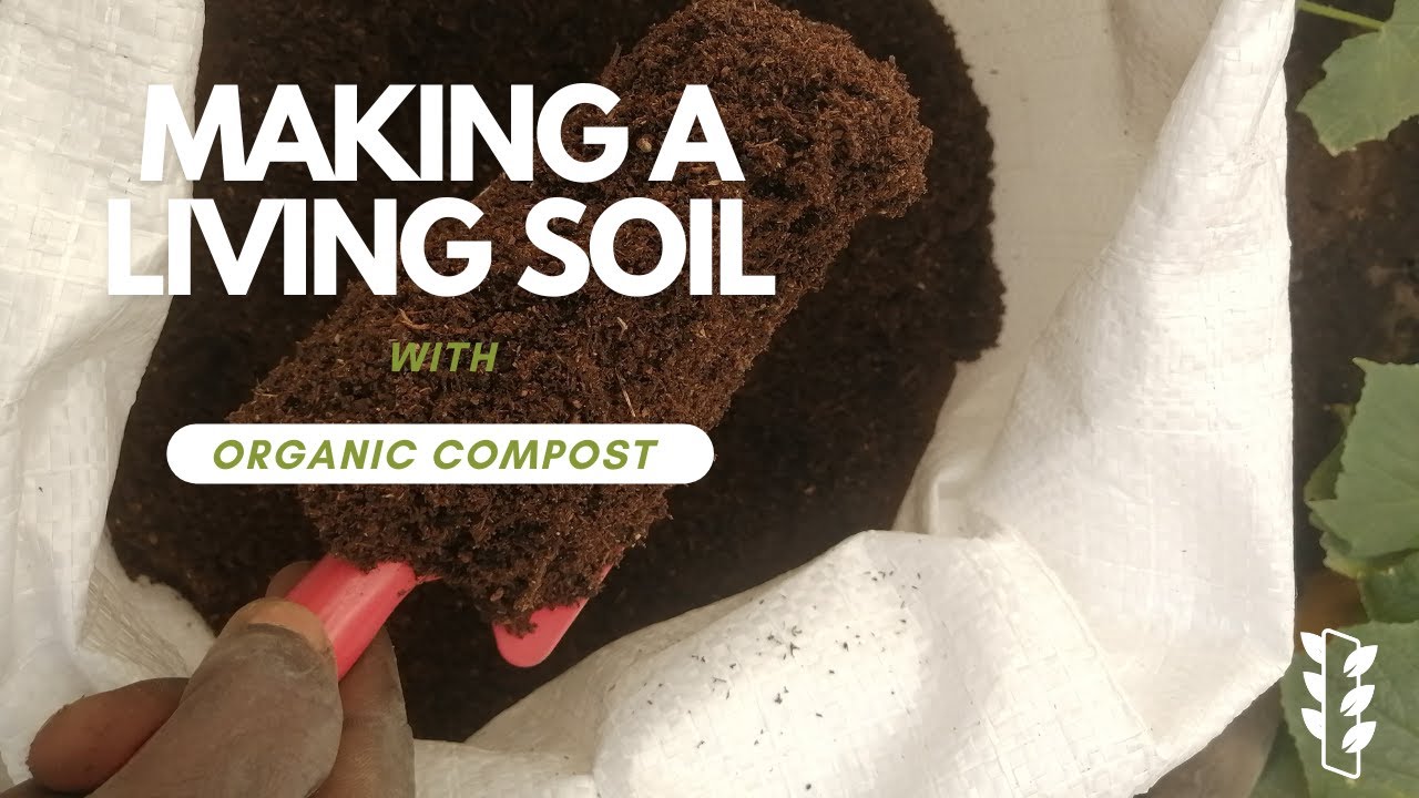 City Organic Compost Fertilizer Intro