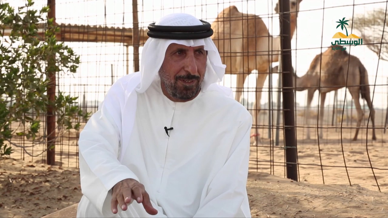 برنامج أهل الابل - محمد بن راشد الكتبي