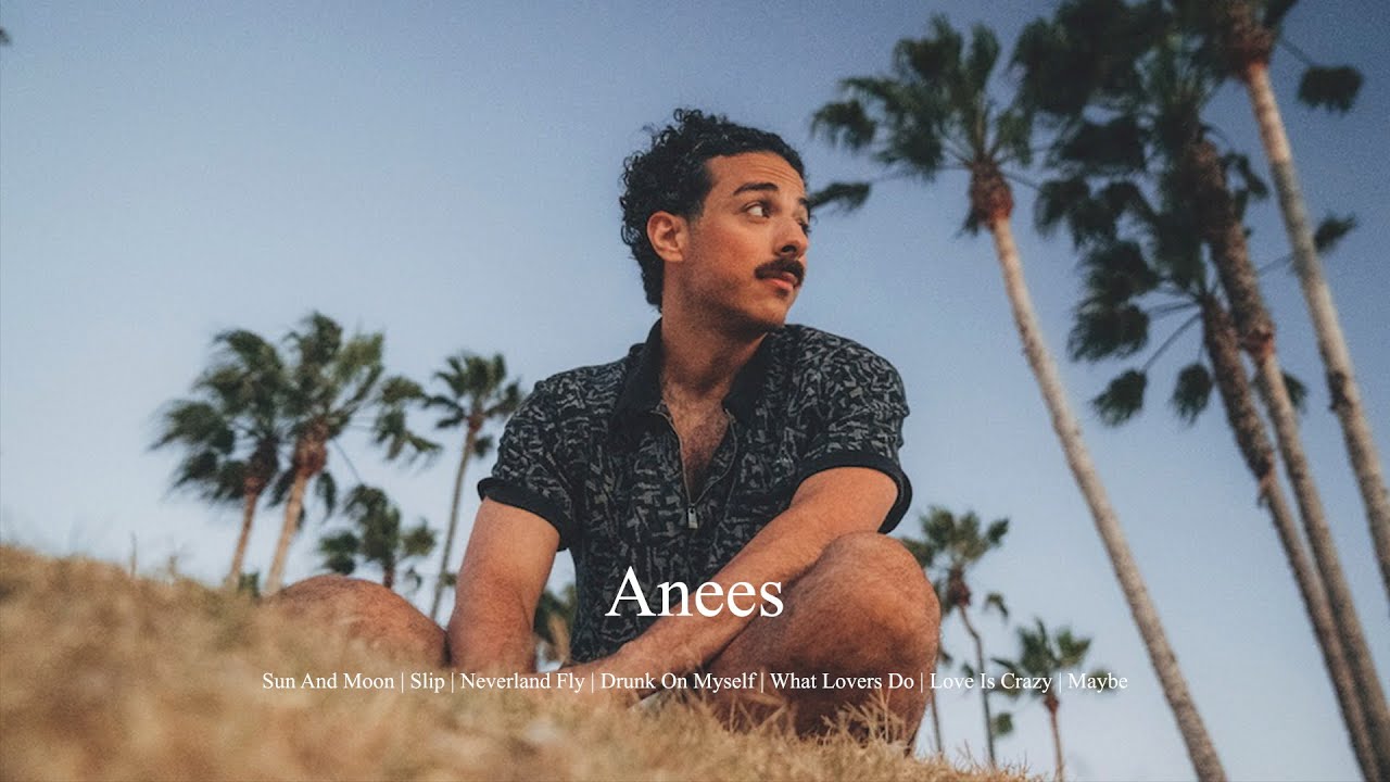 anees playlist