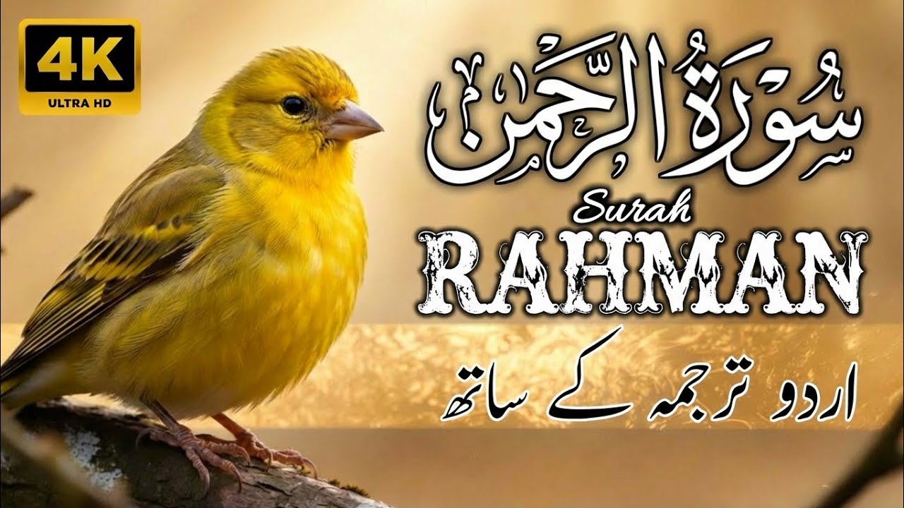 Surah Rahman With Urdu Translation | Surah Rahman Ki Tilawat Tarjuma Ke Sath | Ep 24