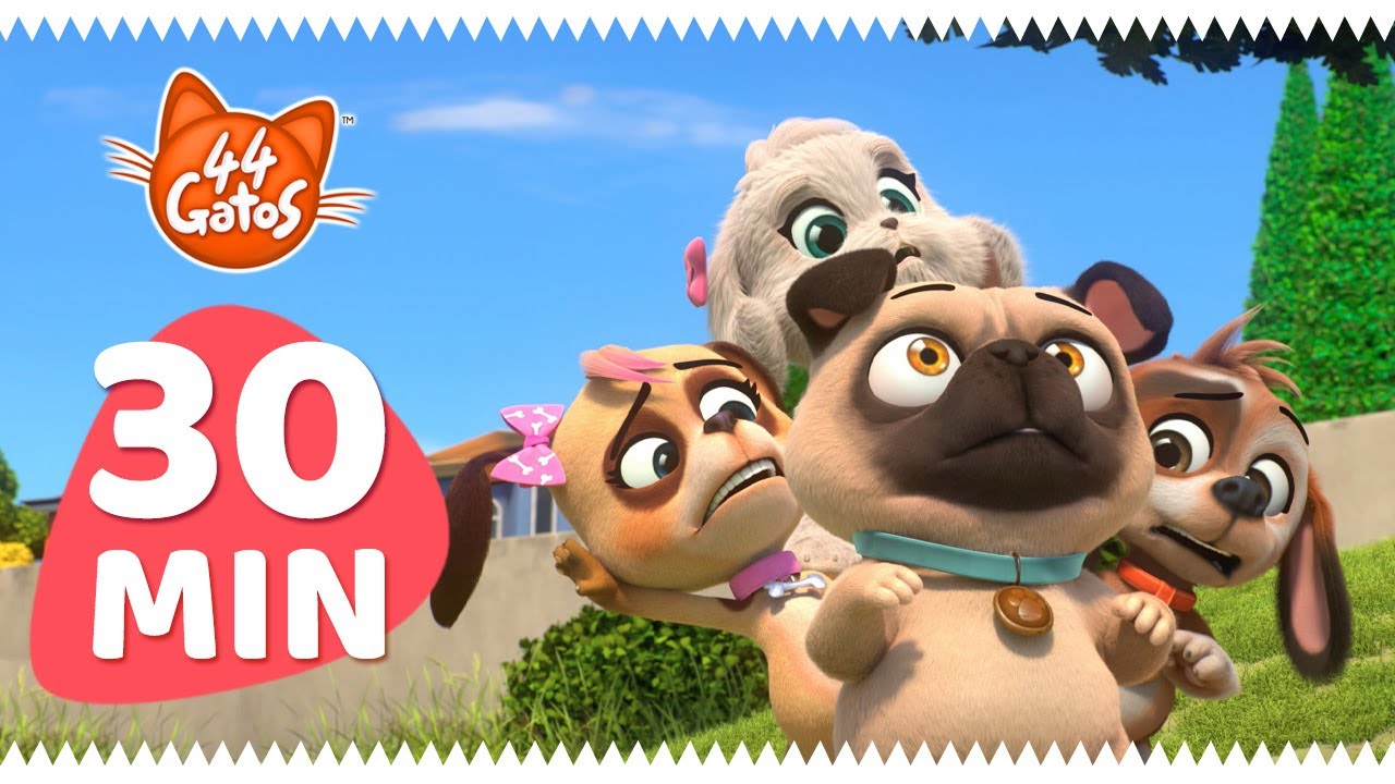 44 Gatos | Latinoamérica | Los amigos peludos de los Buffycats