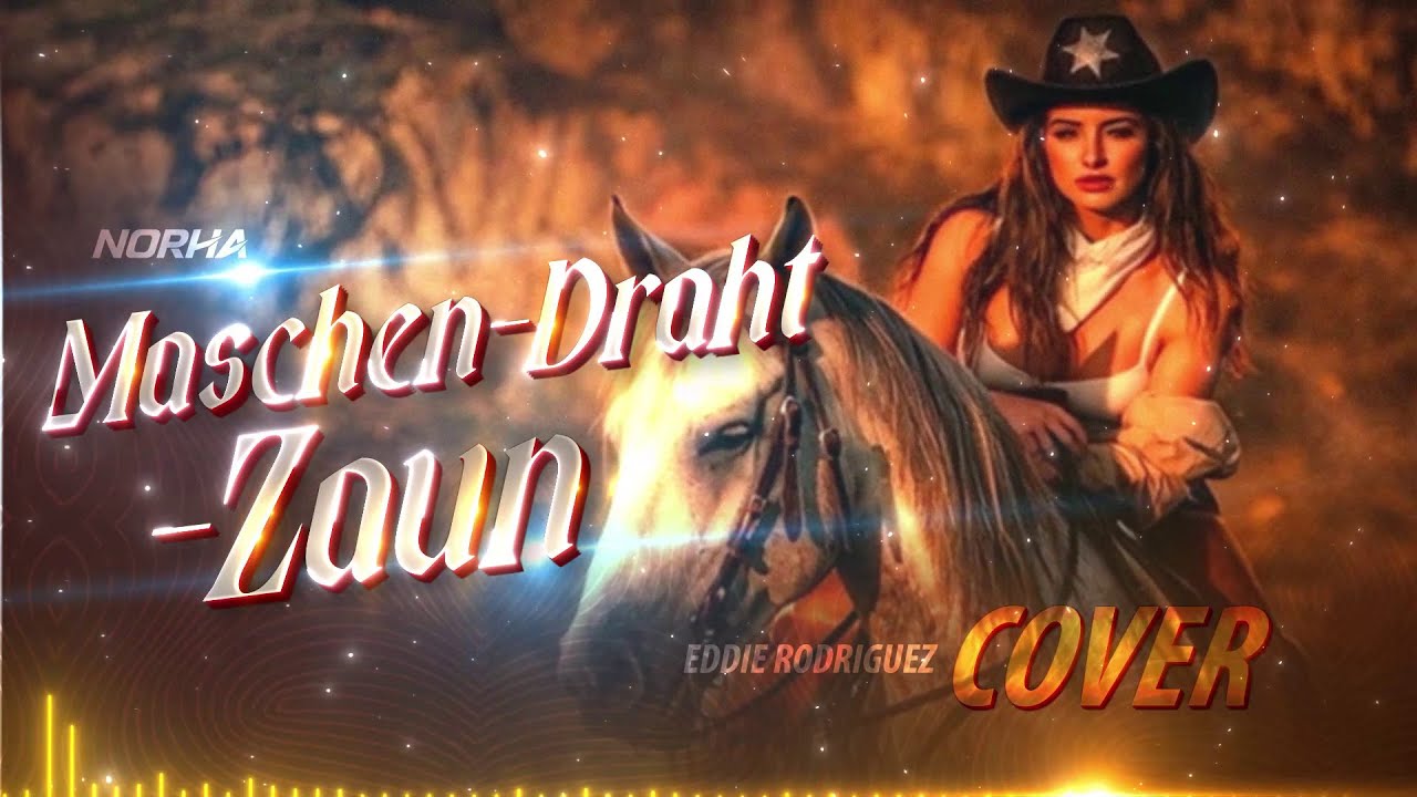 Maschen Draht Zaun (Cover) | Stefan Raab | Female Cover By ⁨@norha_germany