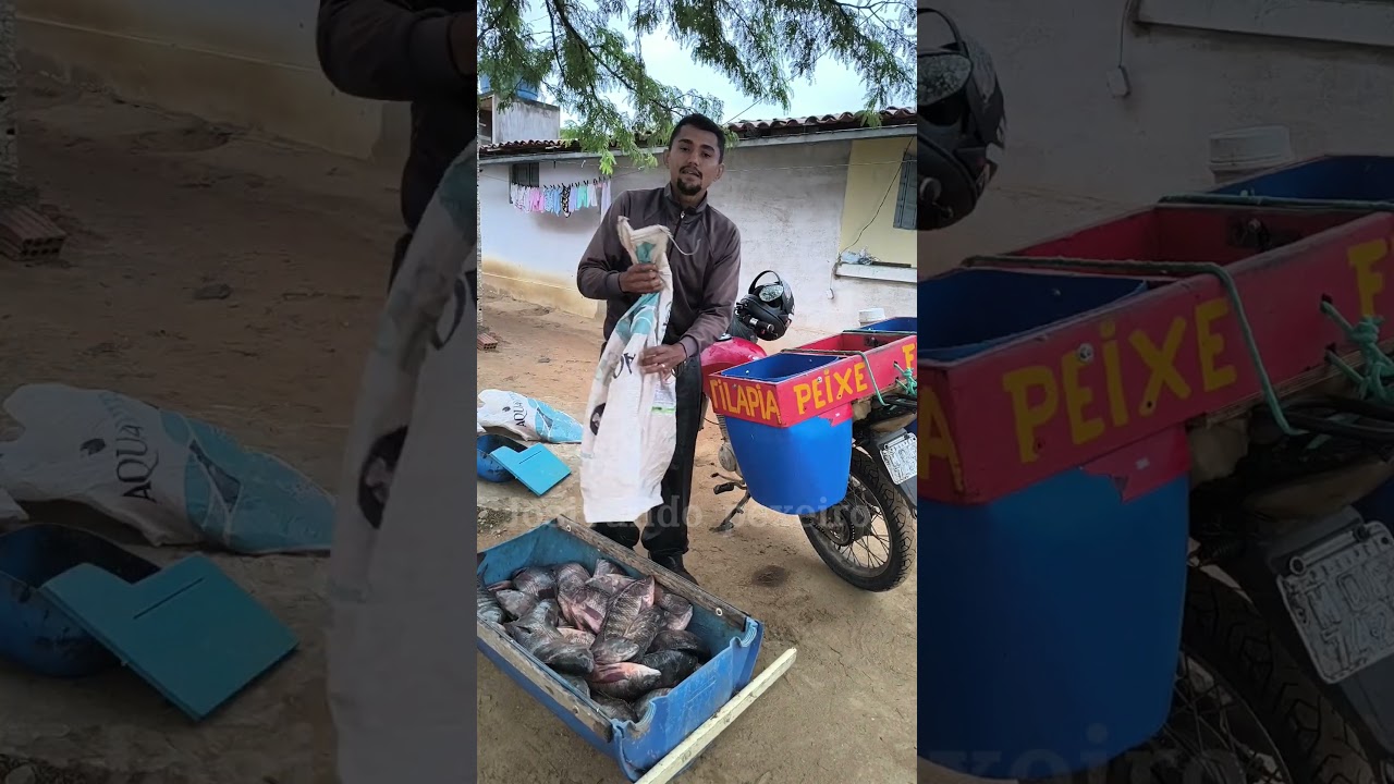 quanto ganhei vendendo os 60kg de peixe? #peixaria #vendedor #peixe