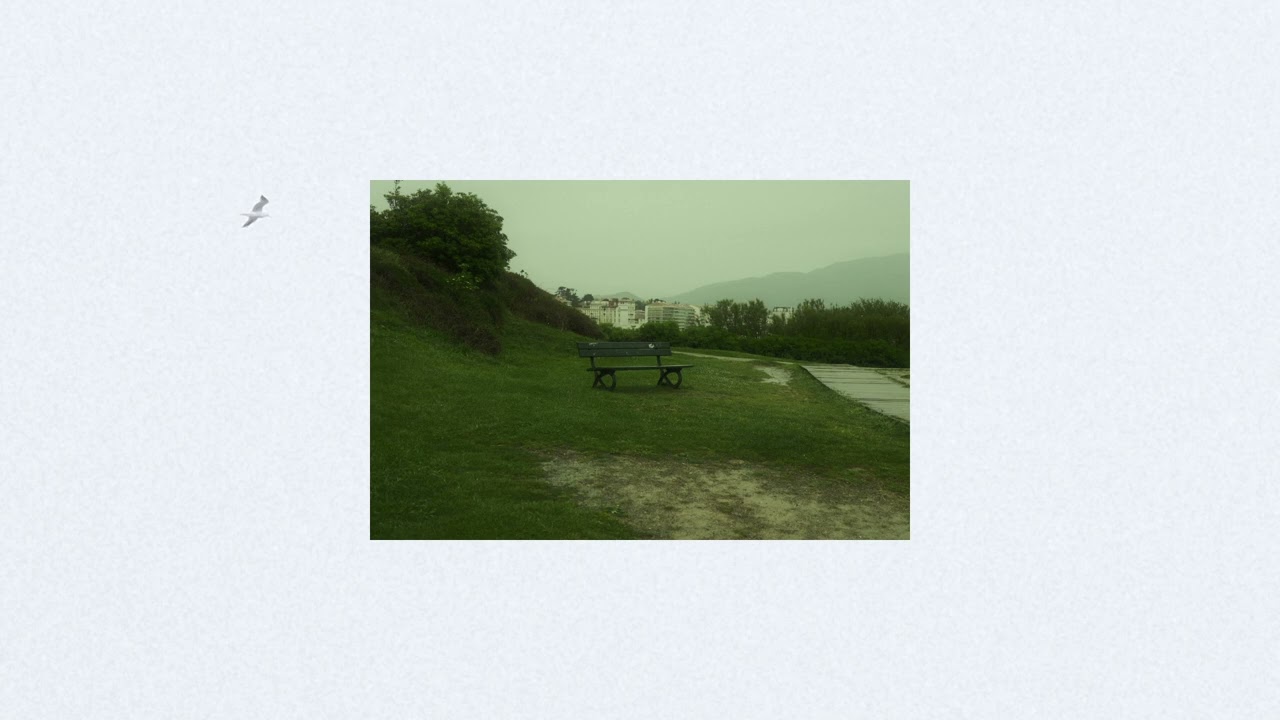 a flattering shore