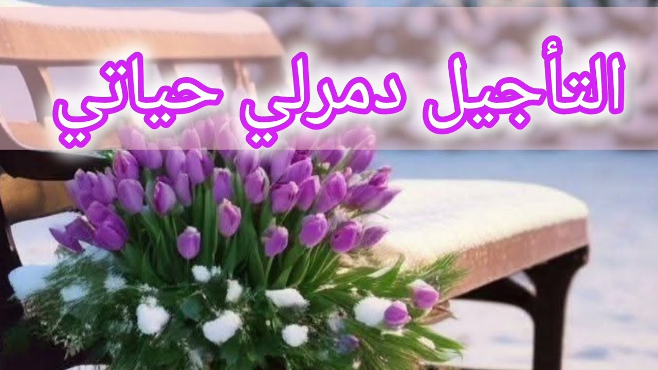 التأجيل دمرلي حياتي 😨 معرفتكم كنز ربي يحفظكم ليا ان شاء الله 🥰