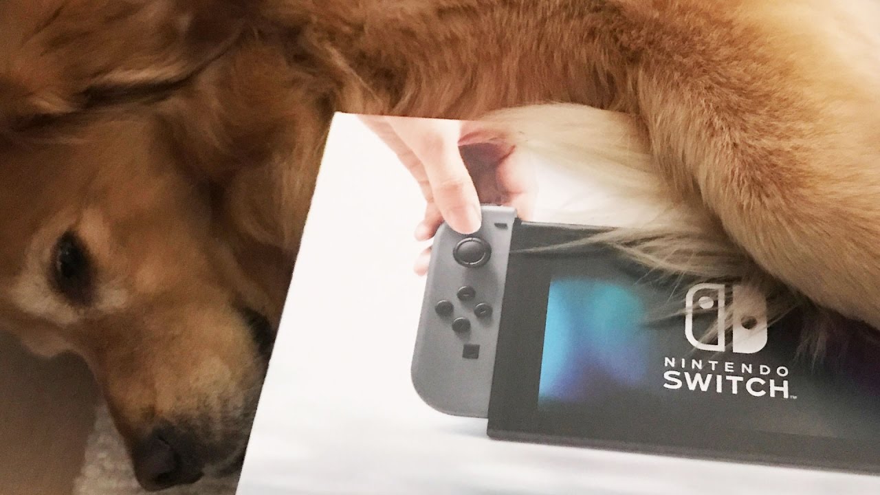 I GOT A NINTENDO SWITCH!!!!