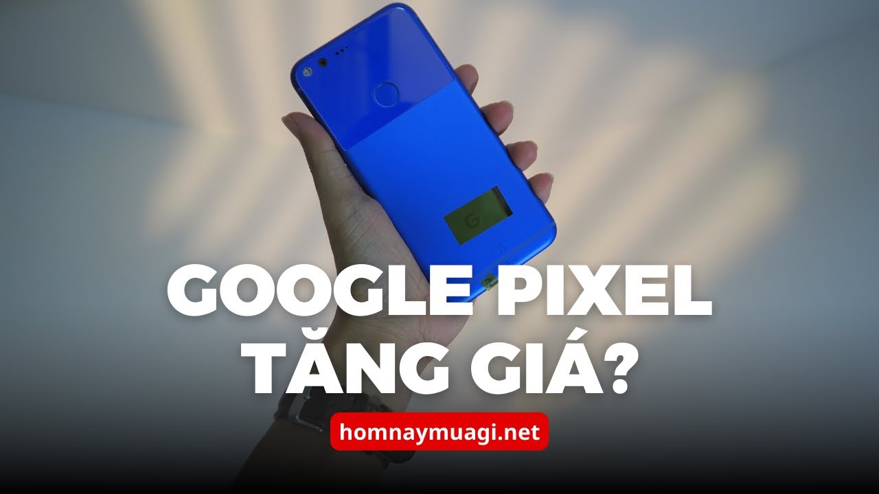 Quá Ngon Luôn! Dùng Google Photo Không Giới Hạn Với Google Pixel 1 Và Google Pixel XL