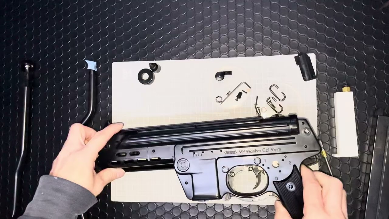 コクサイガスセミ　　mpk     mpl    
