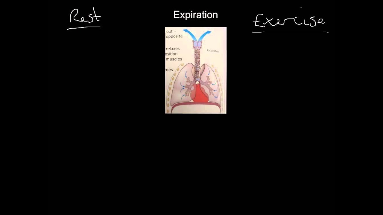 Mechanics of Breathing