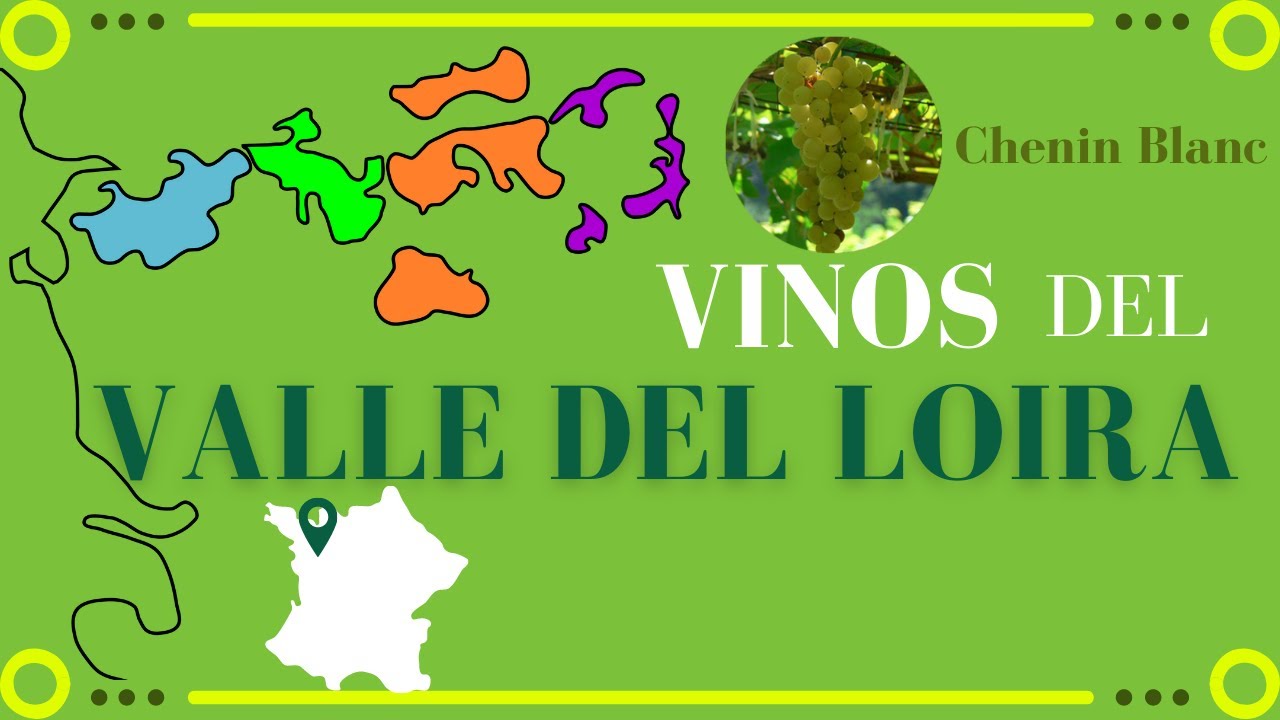 Vinos del VALLE DEL LOIRA 🥂[clima, uvas y regiones]🔹[Francia]
