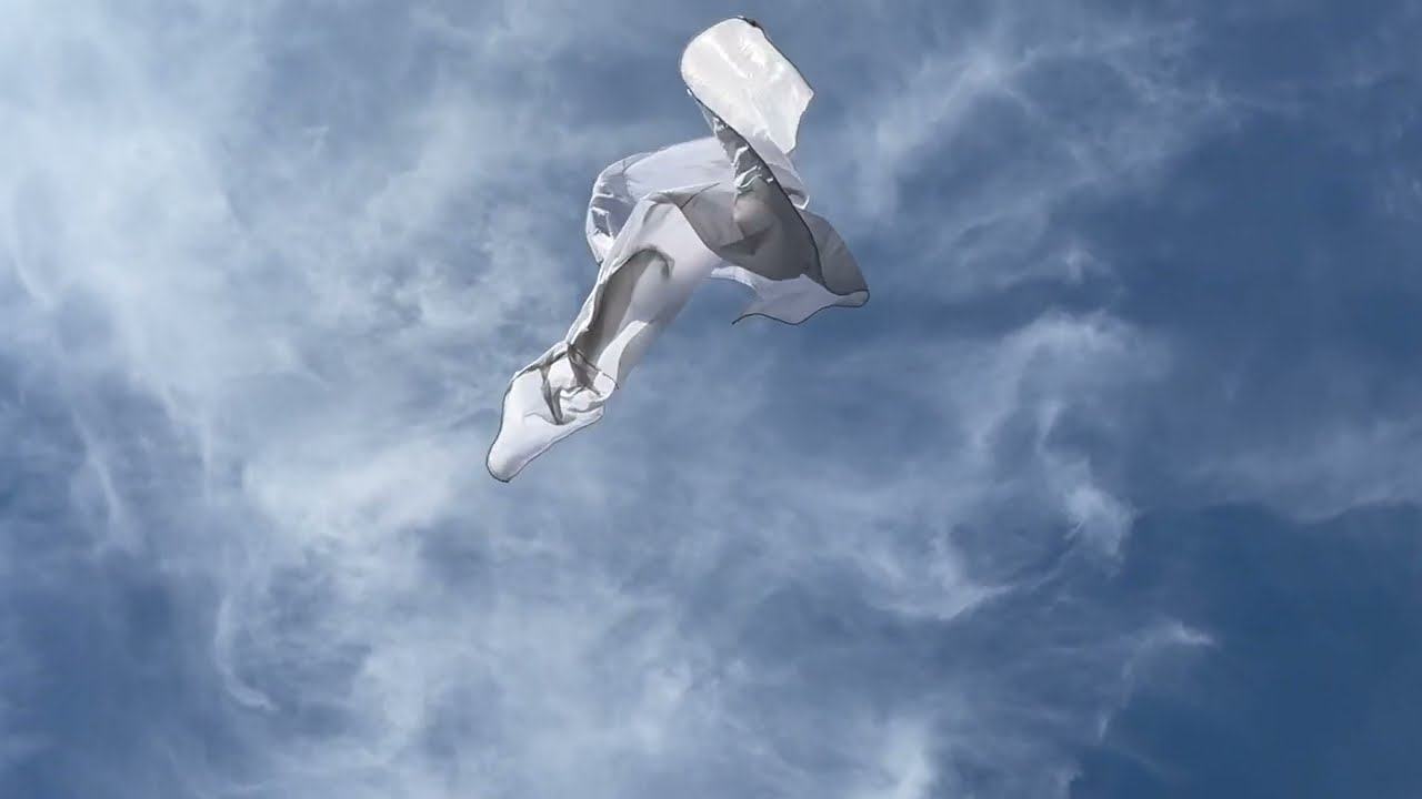 Michael Kanz - Ode To Freedom (An ABBA Voyage Cover)