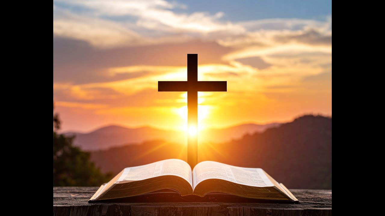 WELCOME TO OUR MAIN SERVICE. @followers@topfans